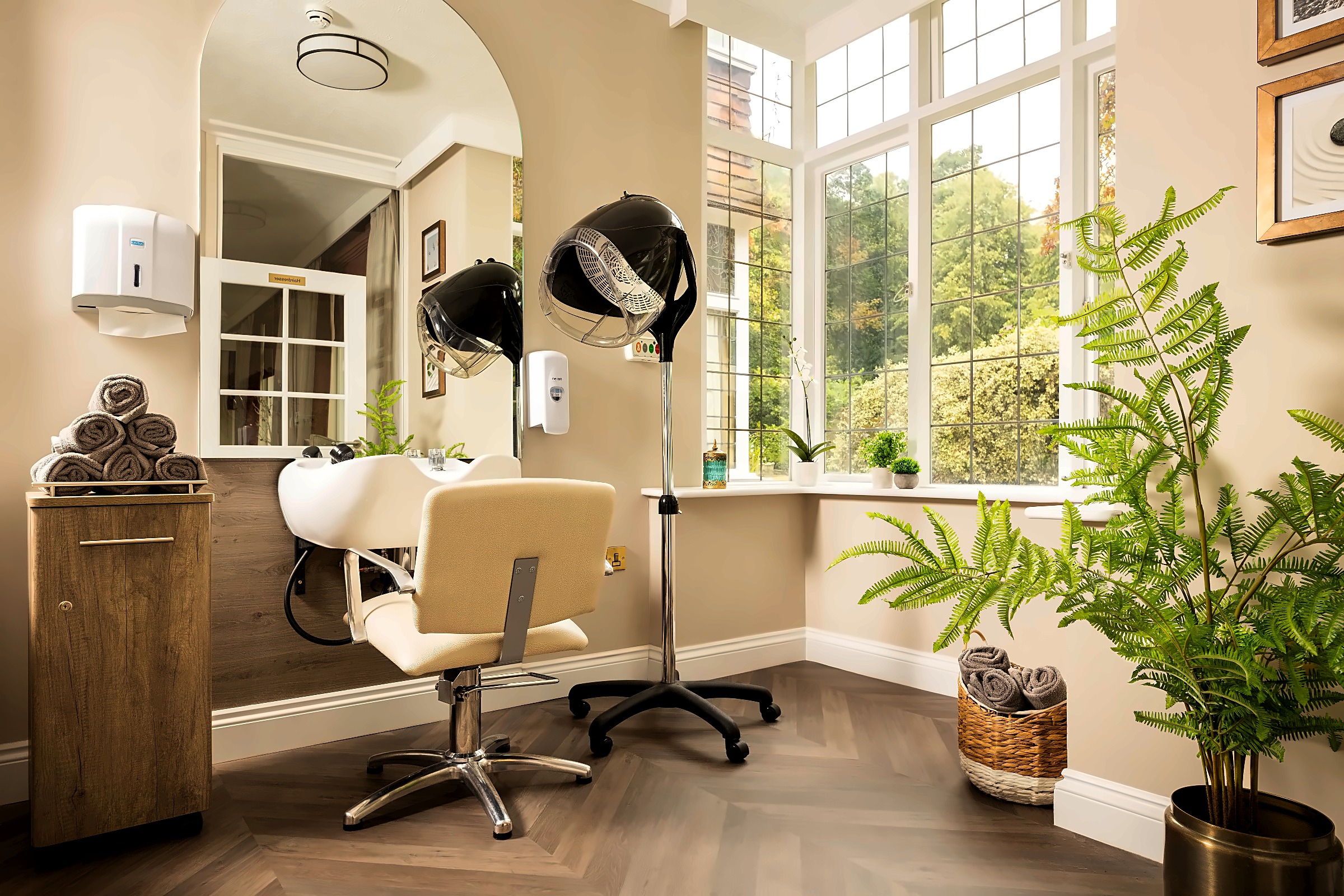 TALL TREES interior 2